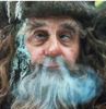 Avatar du membre