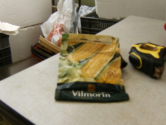 maïs sucré de chez Vilmorin sans autre dénomination