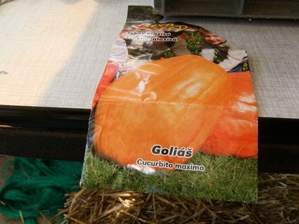 POTIRONS RUSSKY RAZMEYER 5 , ( 15 KILOS PROMIS?)