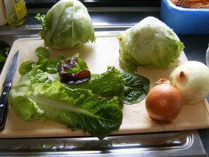 une planche à ICEBERG, Laitues  Romaines mais  les oignons de chez Carrefour!