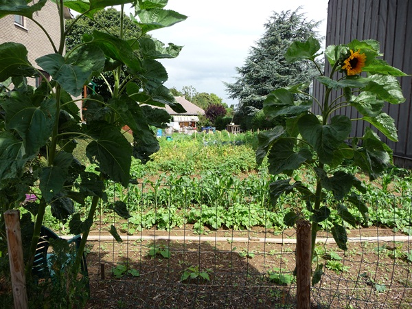 Jardin de Jean Keller