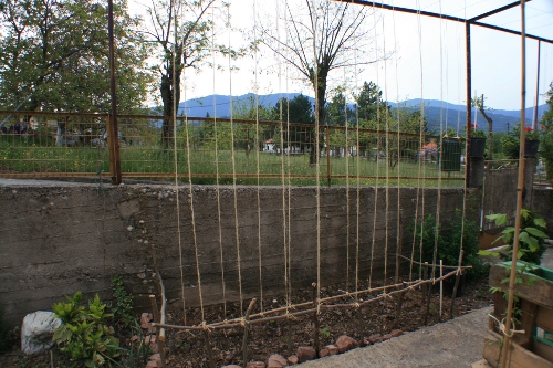 img 011.JPG