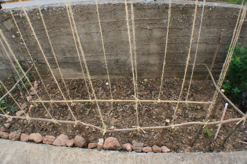 img 009.JPG