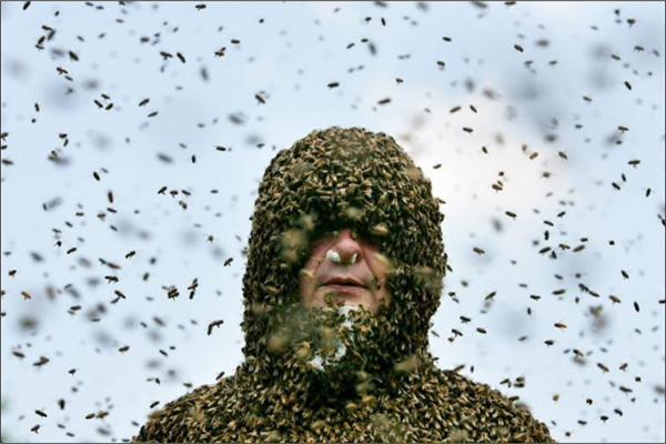 homme_abeille.png
