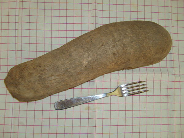 legume_inconnu_02.jpg
