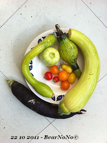 Courges