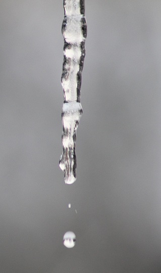 pho 023.JPG