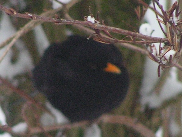 PICT0258.jpg
