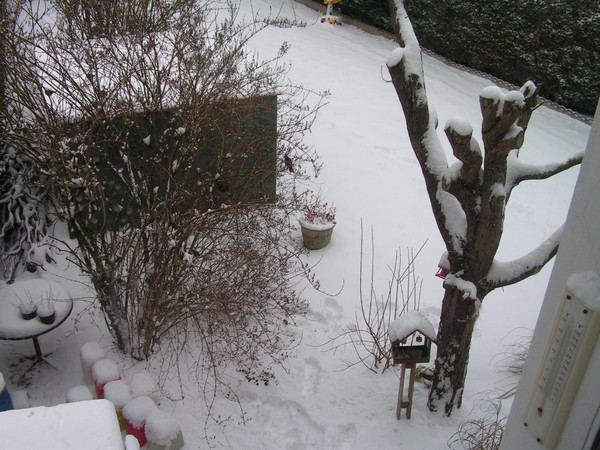 PICT0259.jpg