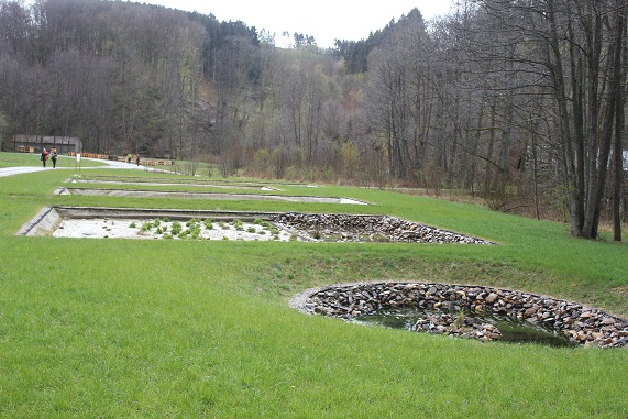 Lagunage.JPG