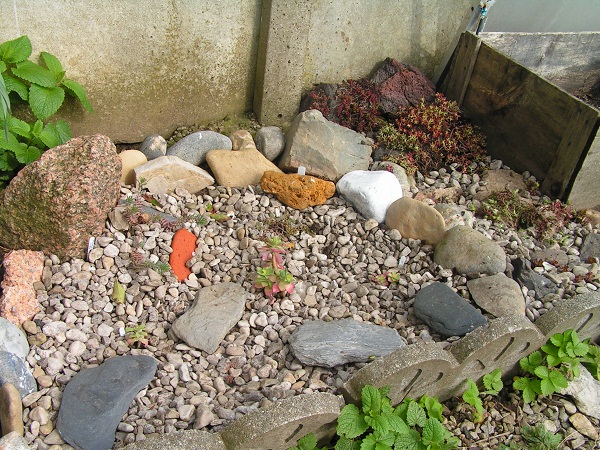 PICT0091.JPG