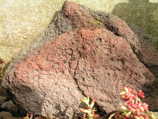 PICT0096.JPG