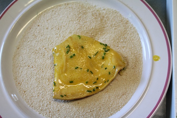 polypore G.JPG