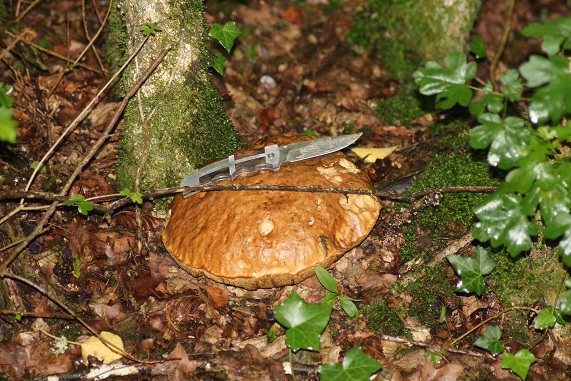 VULCAIN 030.JPG