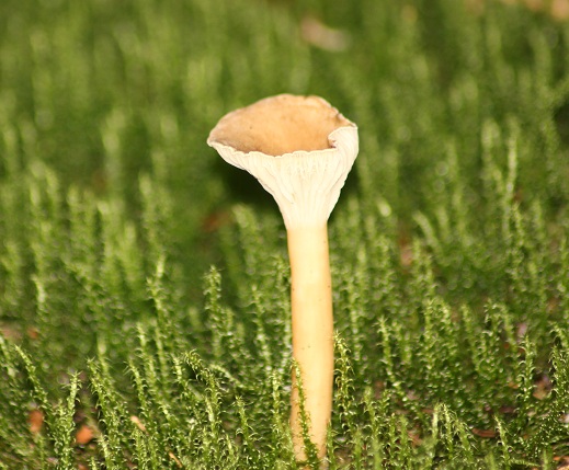 samedi 046.JPG