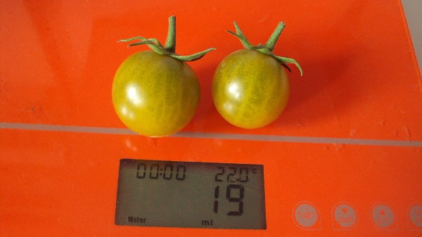Raisin Vert_210810.JPG