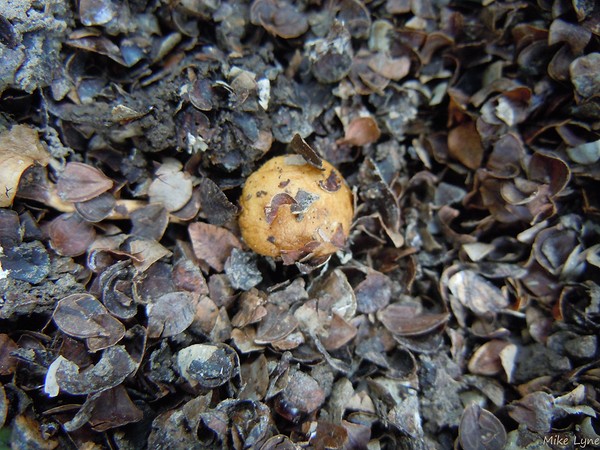 DSCN6435.jpg