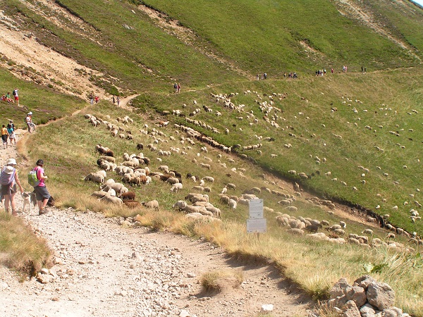 PICT0013.JPG
