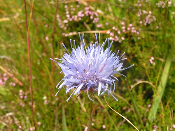 PICT0022.JPG