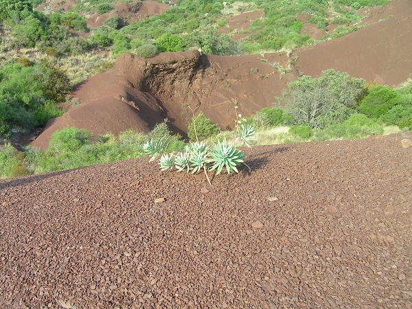 grand canyon_rabieux_4.JPG