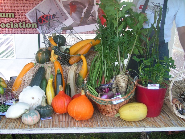 Cucurbitacées et légumes de jardin