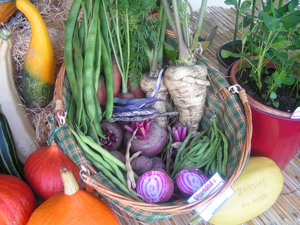 Légumes du jardin