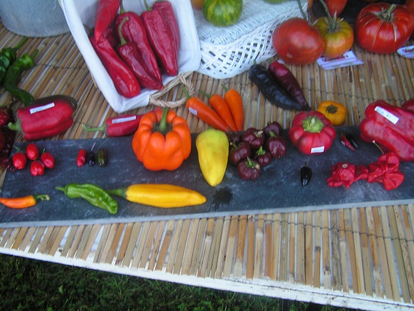 piments et poivrons