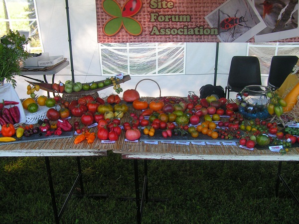Le stand version tomates