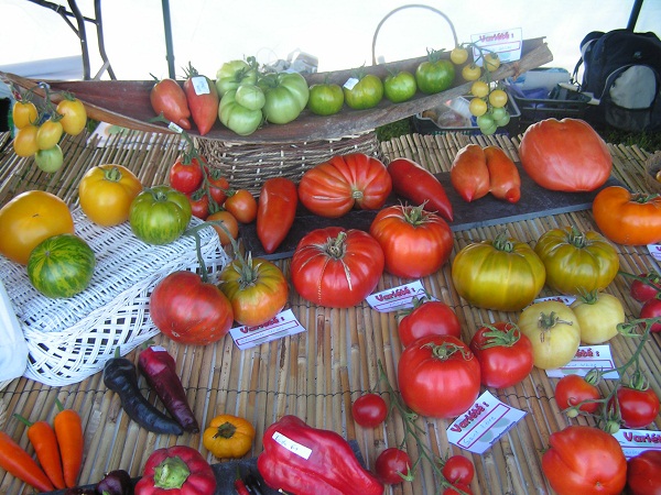 Encore des tomates