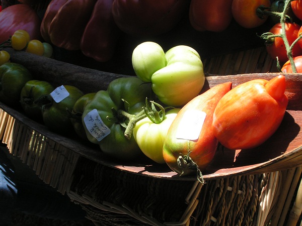 Une composition de .... tomates bien sur