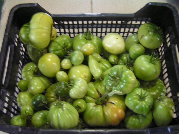 PICT0004.JPG