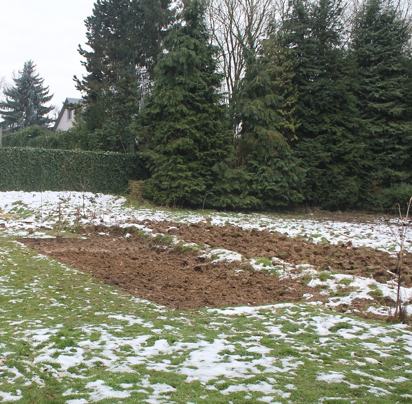 capitulaire B 16022013.JPG