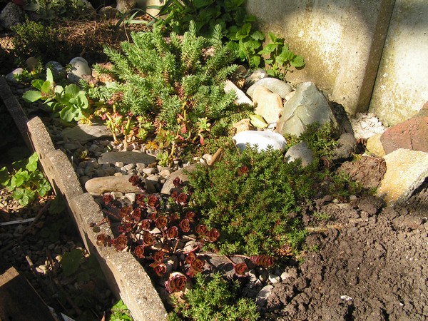 PICT0021.jpg