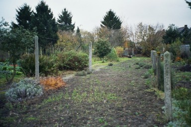 jardin de depart02.jpg