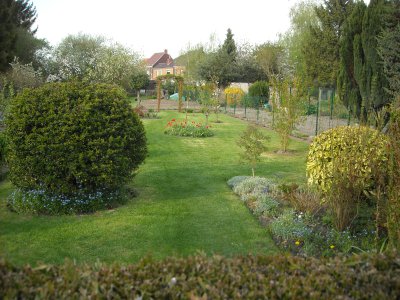 mon jardin.JPG