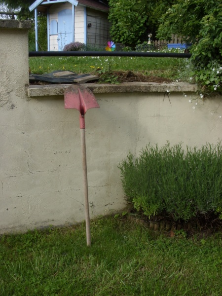 SN850727.JPG