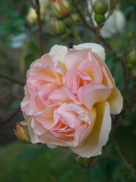 DSCN0120.JPG