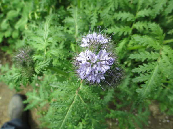2013-06-25 001.jpg