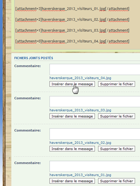 Vue des fichiers insérés dans le corps du message.