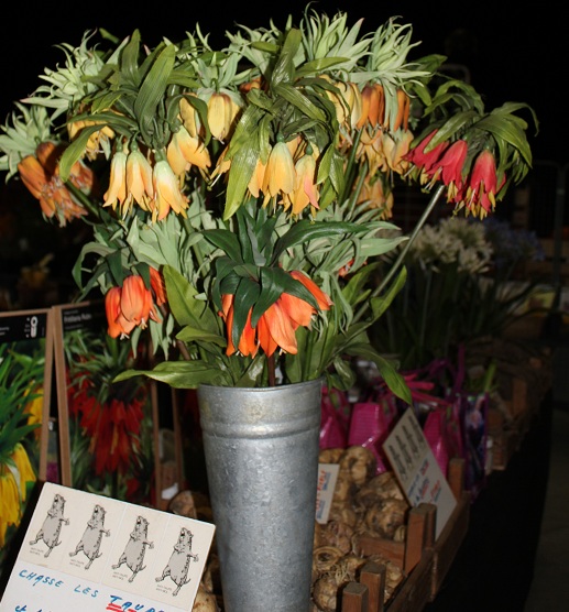 Barlin 2013 065.JPG