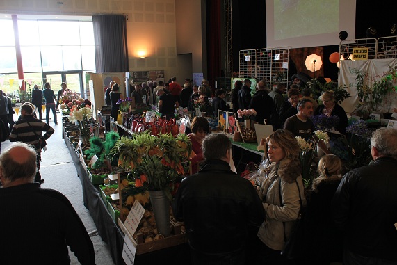 Barlin 2013 141.JPG