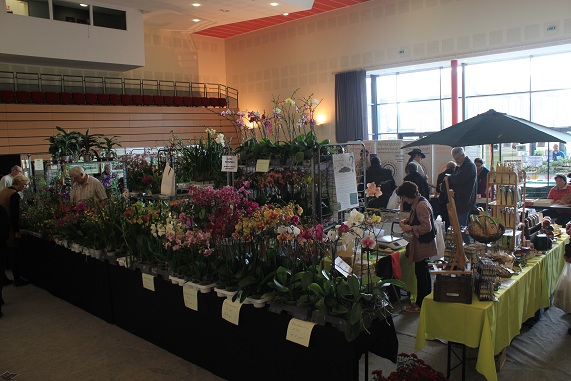Barlin 2013 142.JPG