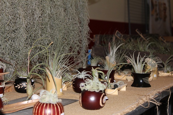 Barlin 2013 107.JPG