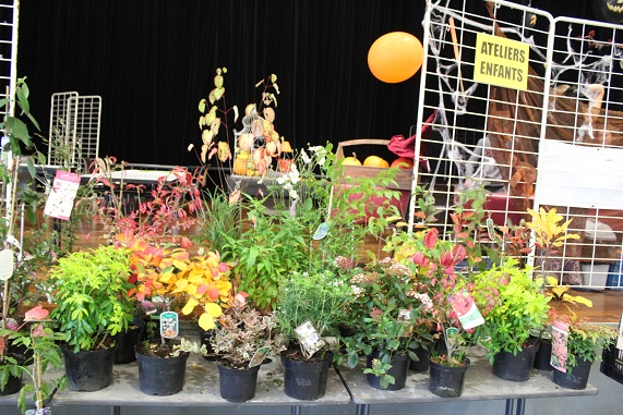Barlin 2013 077.JPG