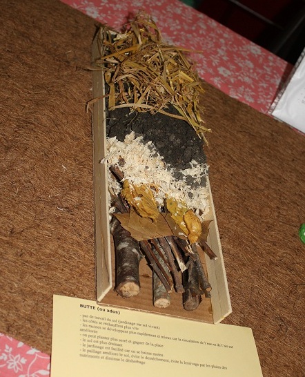 Barlin 2013 079.JPG