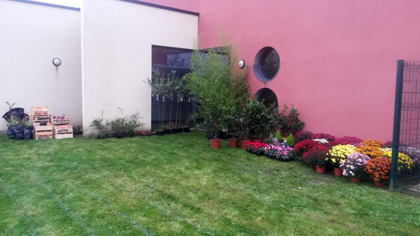 16_deco_verdure.jpg