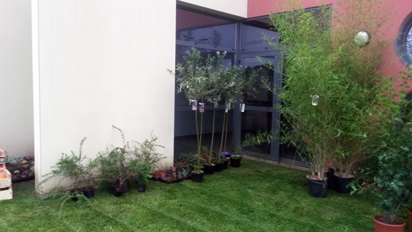 18_deco_verdure.jpg