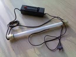 téléchargement.jpg