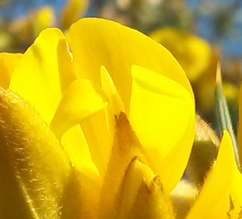 macro_02.jpg