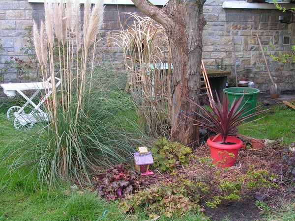 jardin 1.jpg